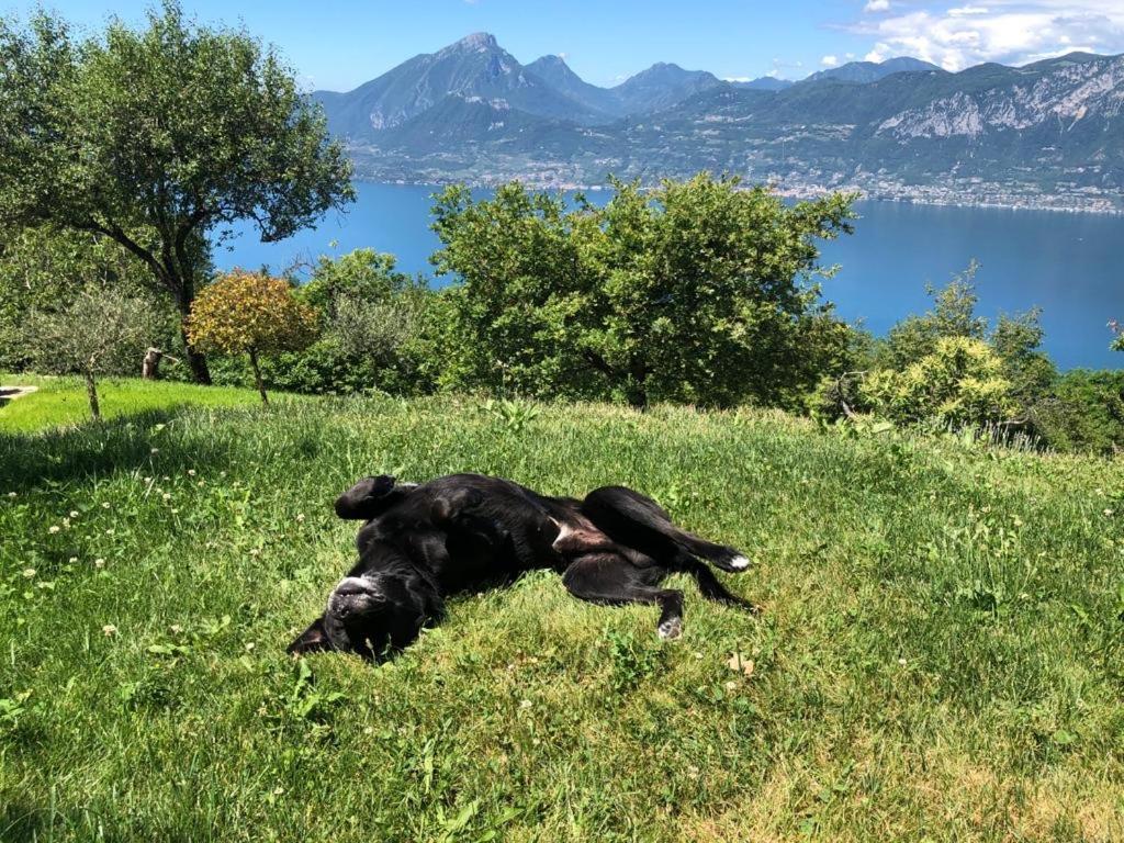 Favai Hills Your Secret Hideaway Brenzone sul Garda Exterior foto